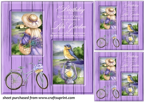 3 Lifes garden card front/toppers