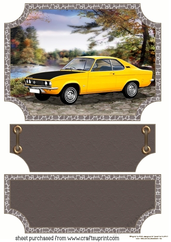 Brown vintage scene car topper and stopper(blank message)9