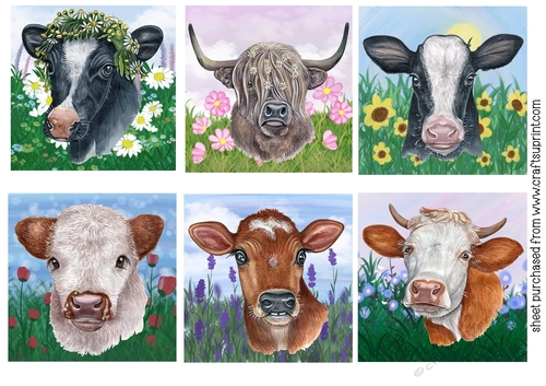 6 Its all about the cows toppers