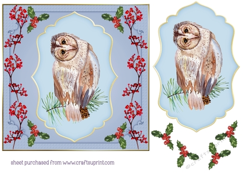 Winter bird card front 2