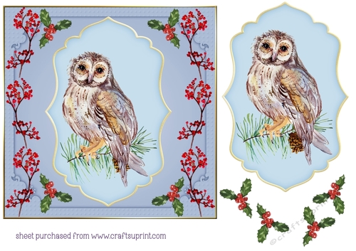 Winter bird card front 3