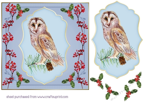 Winter bird card front 4