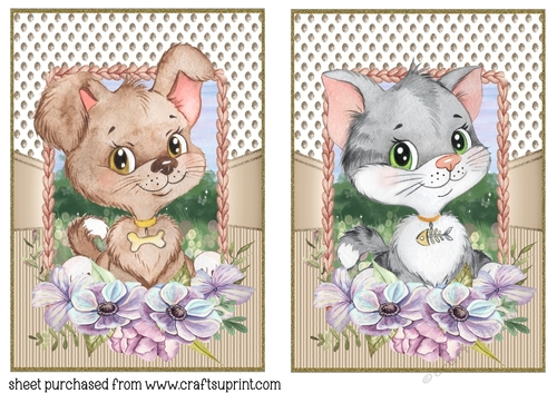 Floral puppy and kitten card fronts