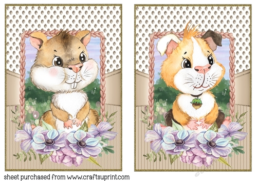 Floral hamster and guinea pig card fronts