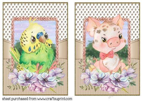 Floral budgie and piglet card fronts