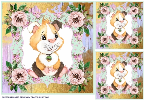 3 Cute floral guinea pig card front/toppers