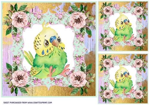 3 Cute floral budgie front/toppers