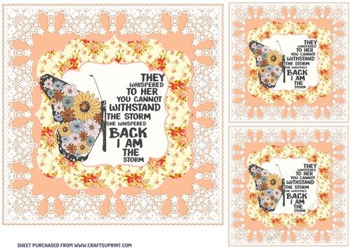 3 Floral butterfly card front/toppers 2