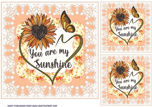 3 Floral butterfly card front/toppers 3