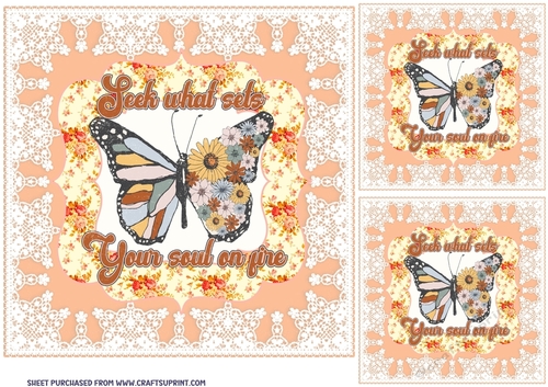 3 Floral butterfly card front/toppers 4