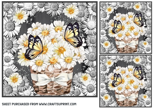 3 Black and white daisy card front/toppers 1