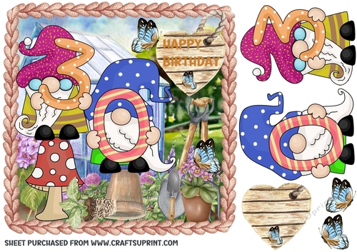 Age 30 garden gnome card front