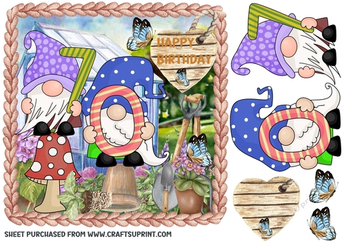 Age 70 garden gnome card front