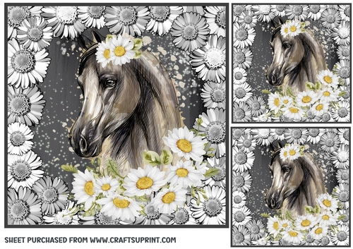 3 Black and white daisy horse card front/toppers