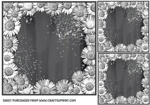 3 Black and white daisy card front/topper blanks