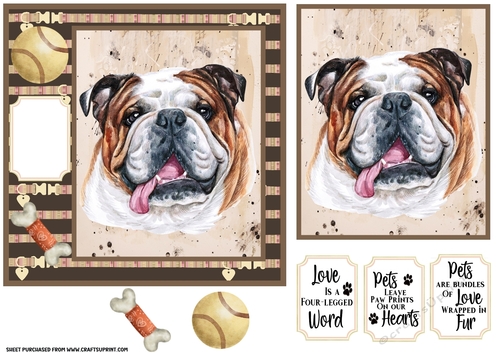 English Bulldog card front 