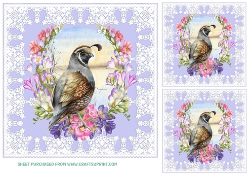 3 Freesia wreath bird card front/toppers 5