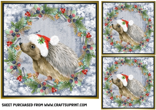 3 Christmas hedgehog card front/toppers 2
