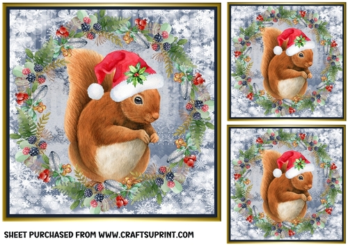 3 Christmas squirrel card front/toppers 1