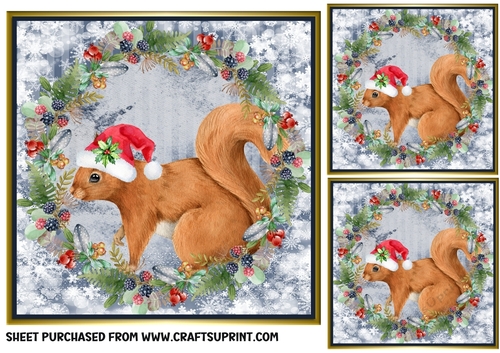 3 Christmas squirrel card front/toppers 2