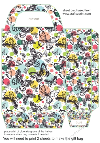 Multi coloured butterfly gift bag 1