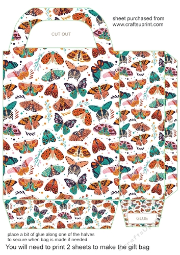 Multi coloured butterfly gift bag 5