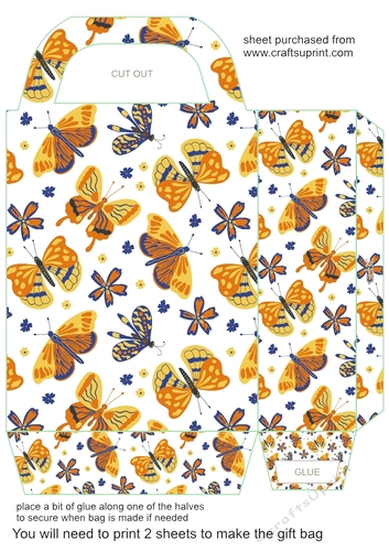 Multi coloured butterfly gift bag 10