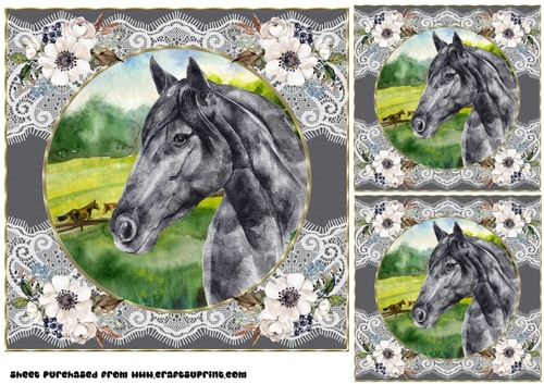 3 Floral black horse card front/toppers