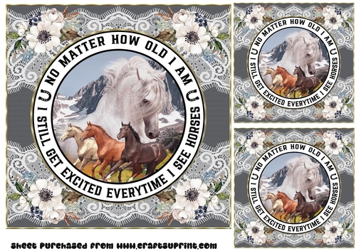 3 No matter how old horse card front/toppers