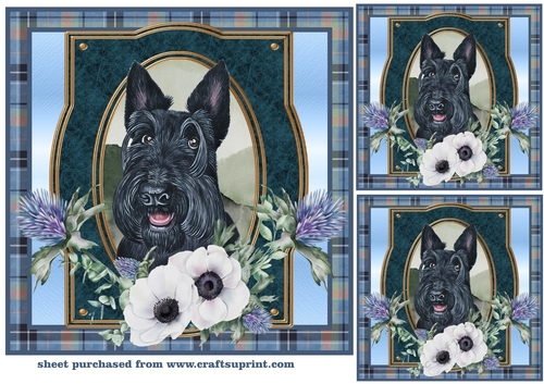 3 Blue tartan Scottish dog card front/toppers 1