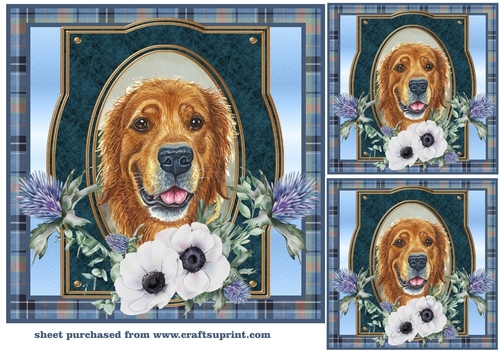 3 Blue tartan Scottish dog card front/toppers 3