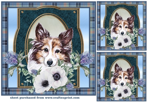 3 Blue tartan Scottish dog card front/toppers 4