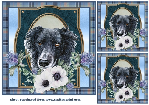 3 Blue tartan Scottish dog card front/toppers 7