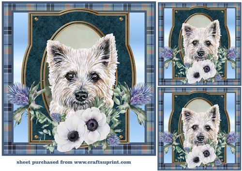 3 Blue tartan Scottish dog card front/toppers 8