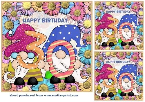 3 Age 30 Birthday gnome card front/toppers