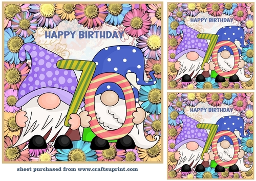 3 Age 70 Birthday gnome card front/toppers