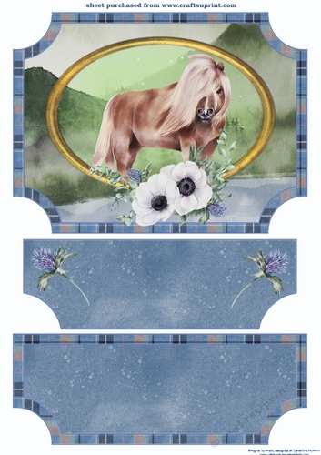 Highland pony easel topper and stopper 1