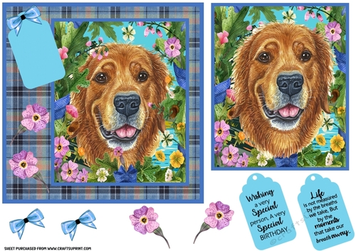 Floral dog card front (choice of main picture) 3