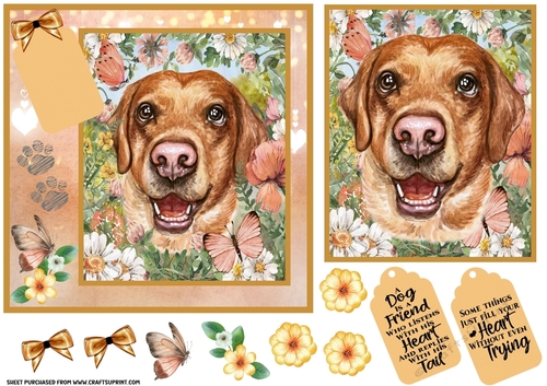 Peach floral Labrador card front 1