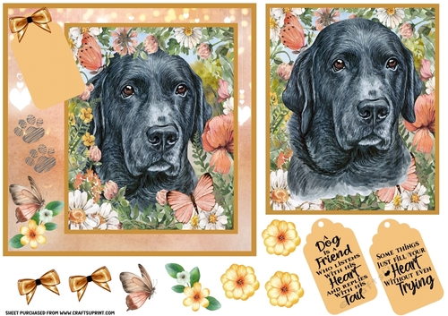 Peach floral Labrador card front 3