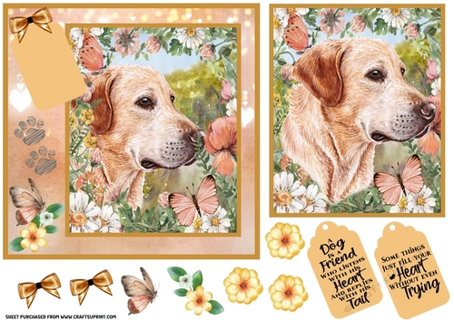 Peach floral Labrador card front 4