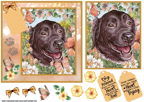 Peach floral Labrador card front 5