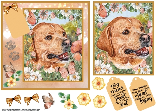 Peach floral Labrador card front 6