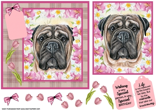 Pink tulip dog card front 4