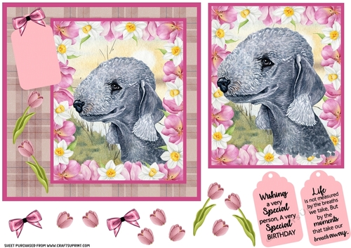 Pink tulip dog card front 6