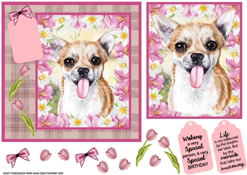 Pink tulip dog card front 16