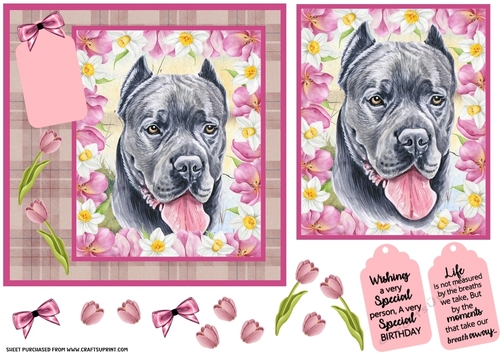 Pink tulip dog card front 17