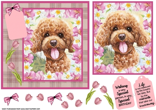 Pink tulip dog card front 19