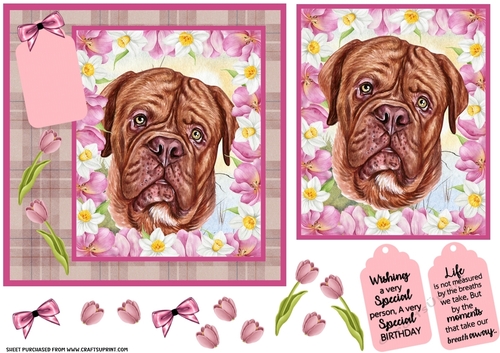 Pink tulip dog card front 20