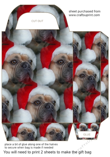 Christmas pooch gift bag 1